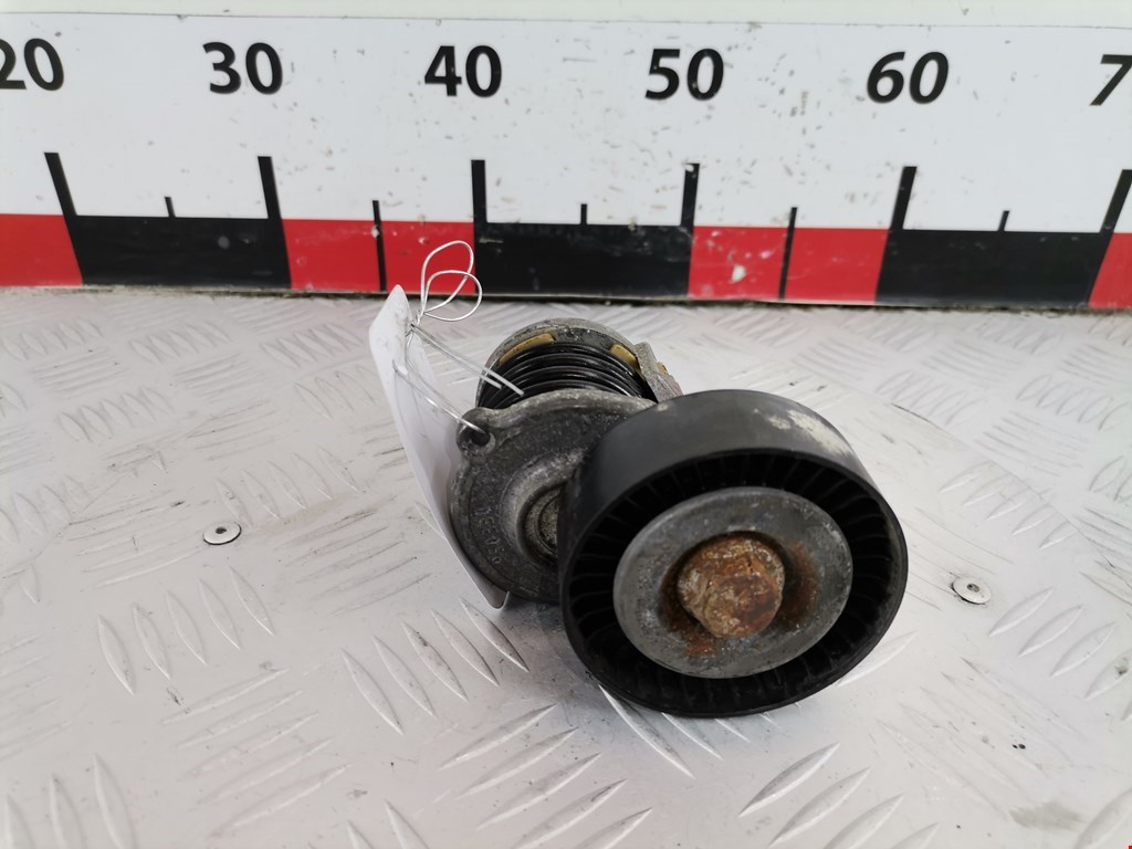 Натяжитель ремня генератора (приводного поликлинового ремня Volkswagen Polo 4 (2001-2009)