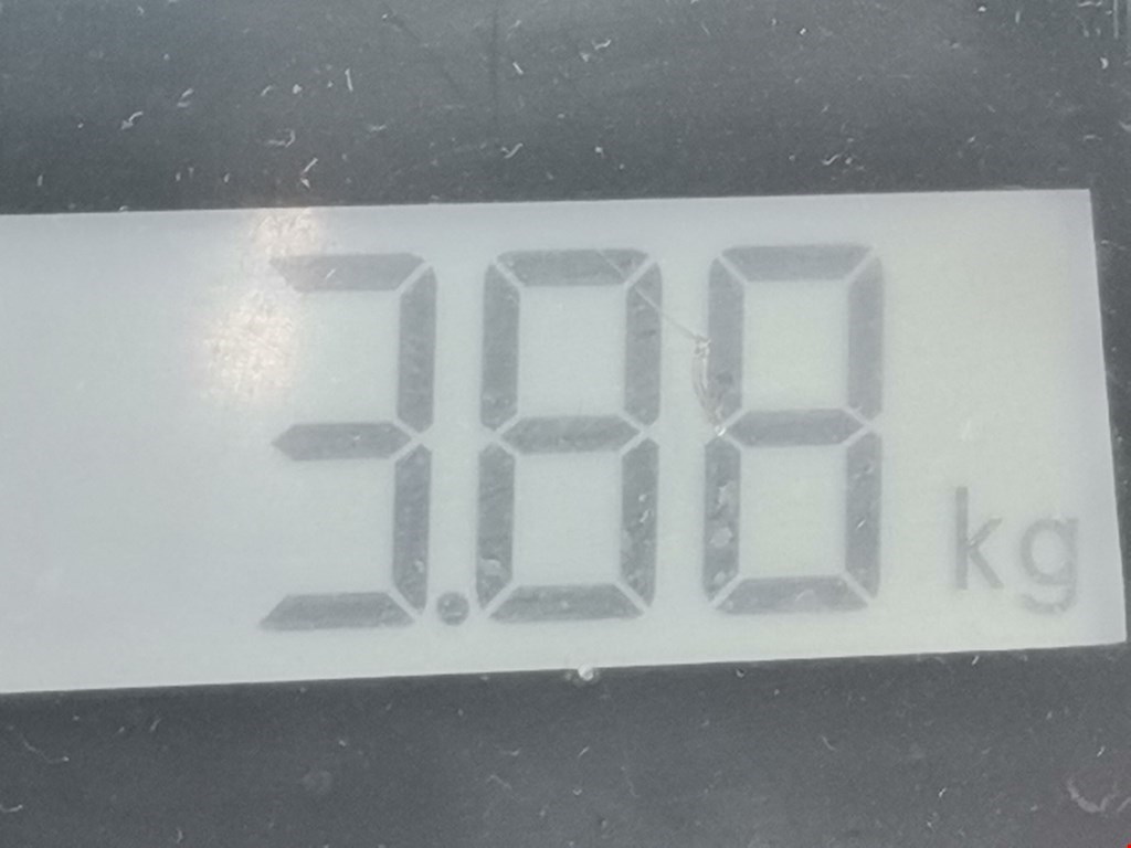 Стартер JAGUAR X-Type 2001-2009