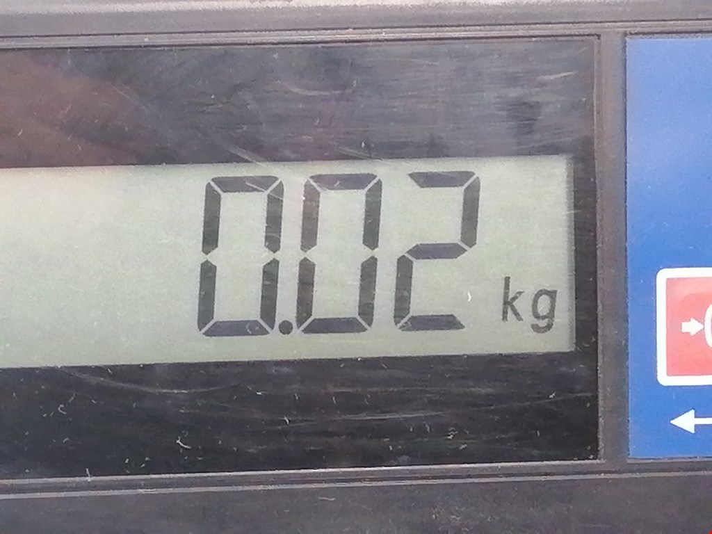 Кнопка аварийной сигнализации (аварийки) NISSAN Micra K12 2003-2010