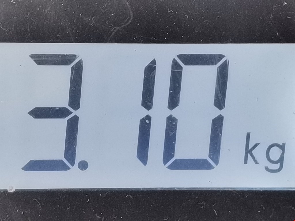 Рычаг передний правый AUDI A3 8L 1996-2003