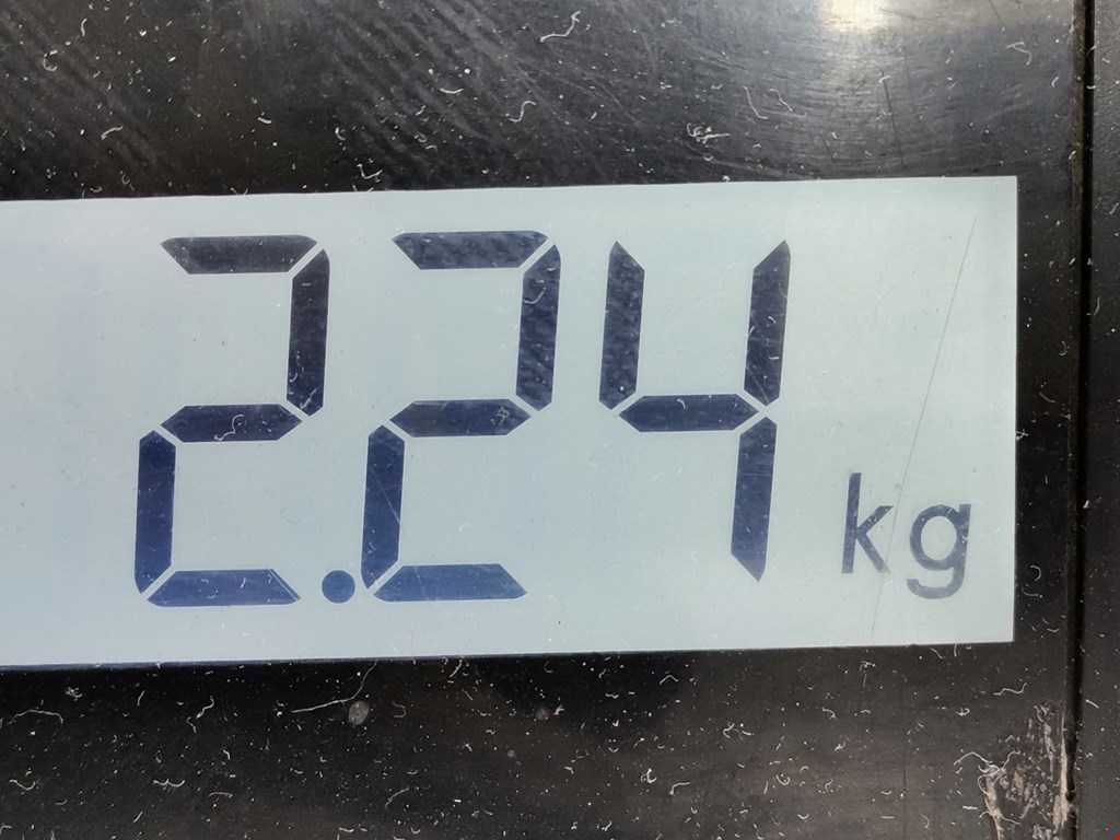 Амортизатор задний правый AUDI A3 8L 1996-2003