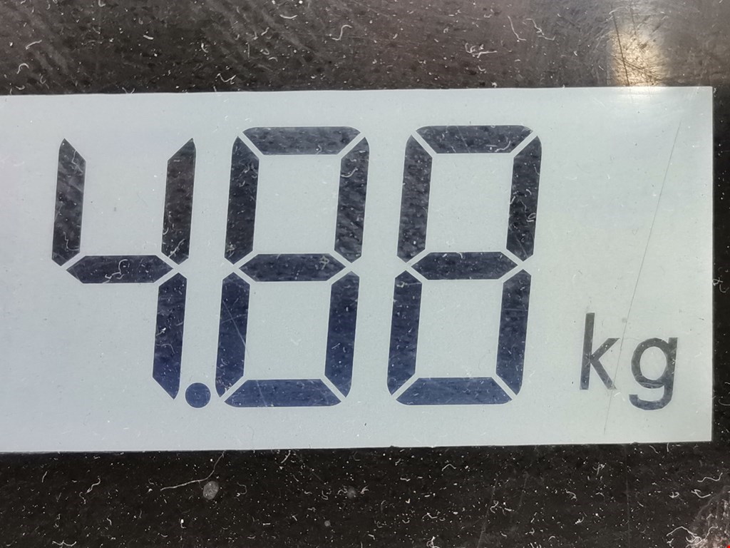 Суппорт передний левый AUDI A4 B6 2001-2005