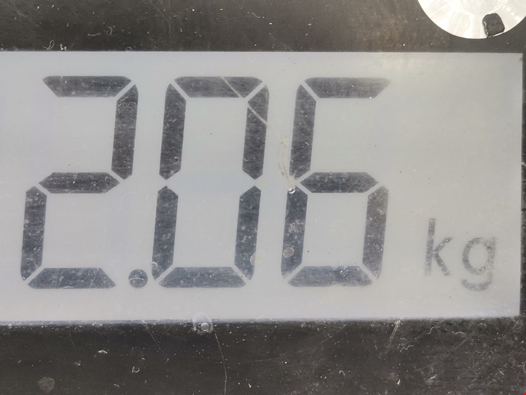 Амортизатор задний левый VOLKSWAGEN Passat B5 1997-2005