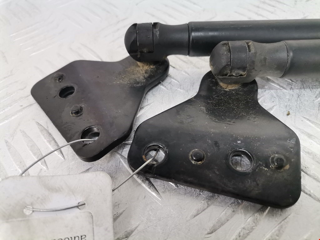 Амортизатор капота левый=правый FORD C-MAX 2003-2010