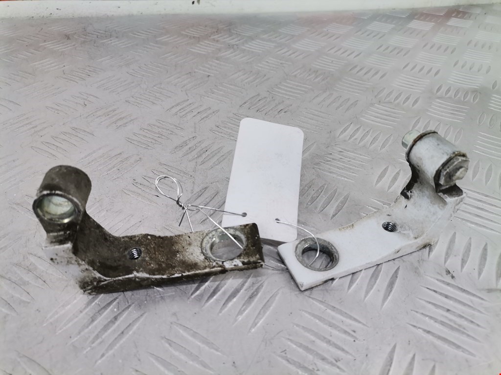 Петля двери задней правой Ford C-MAX 2 (2010-2019)