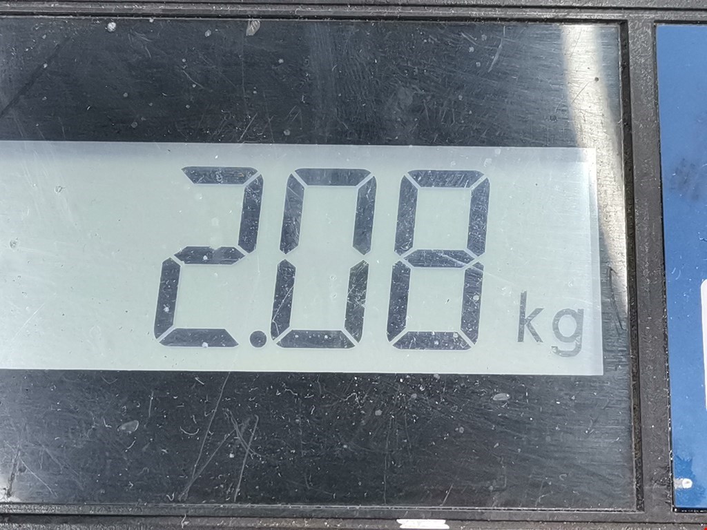 Стабилизатор задний (поперечной устойчивости подвески) CHEVROLET Captiva 2006-2010