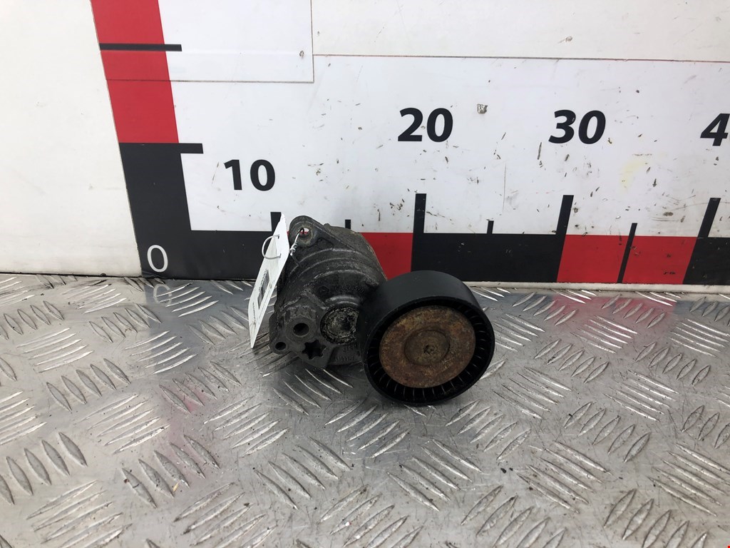 Натяжитель ремня генератора (приводного поликлинового ремня Mercedes Vito (W638) (1996-2003)