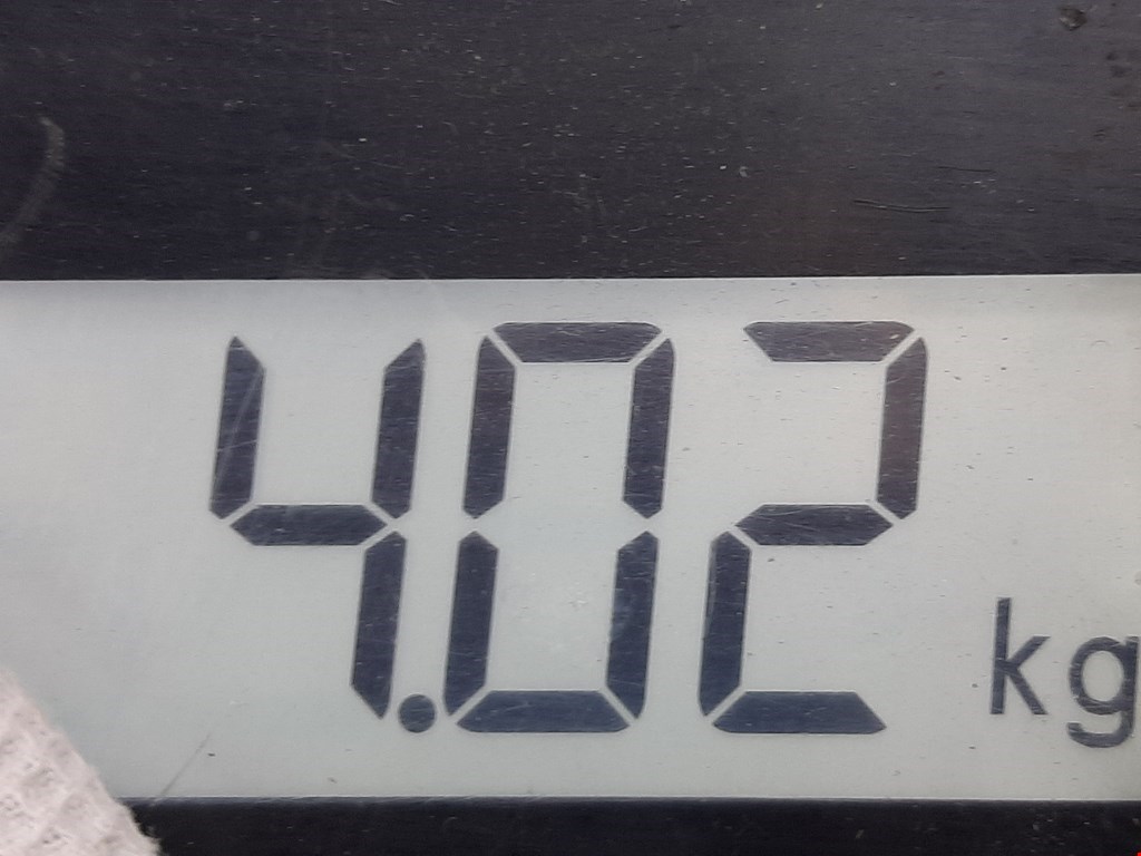 Стеклоподъемник задний левый FORD C-MAX 2003-2010