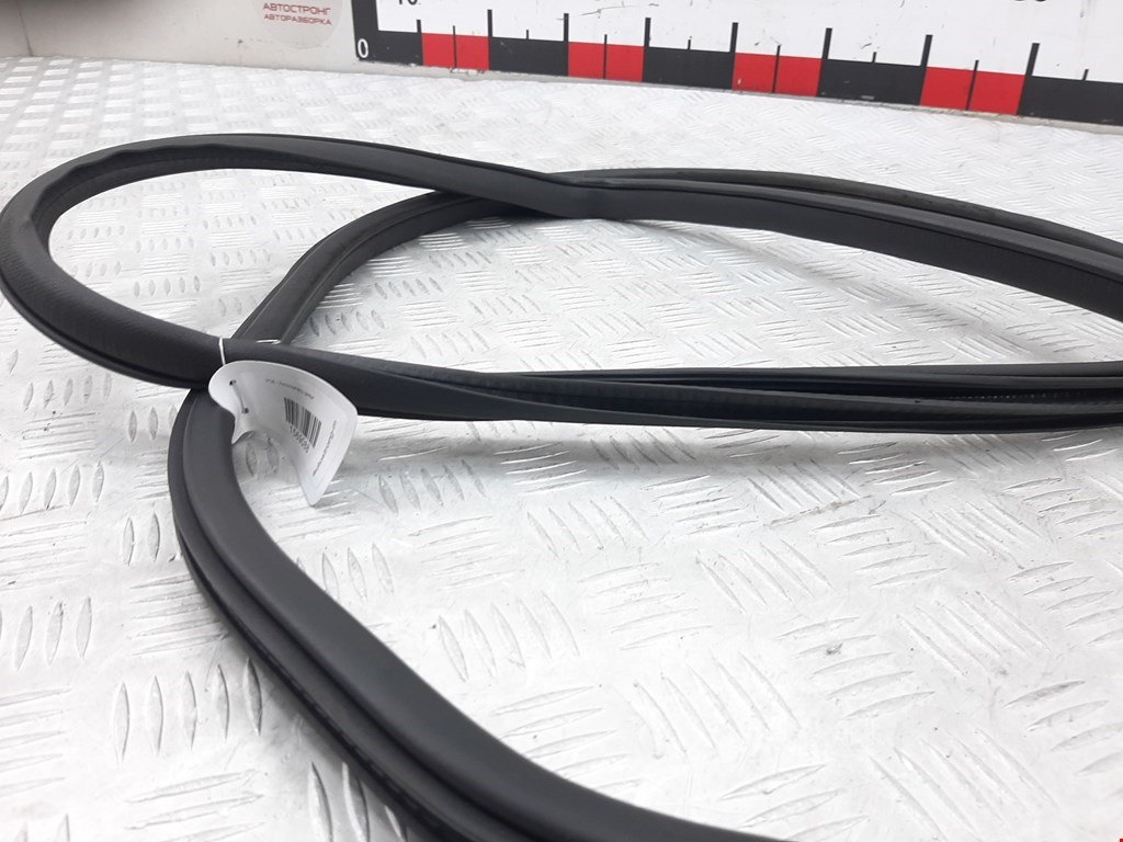 Уплотнитель двери RENAULT Koleos HY 2008-2016