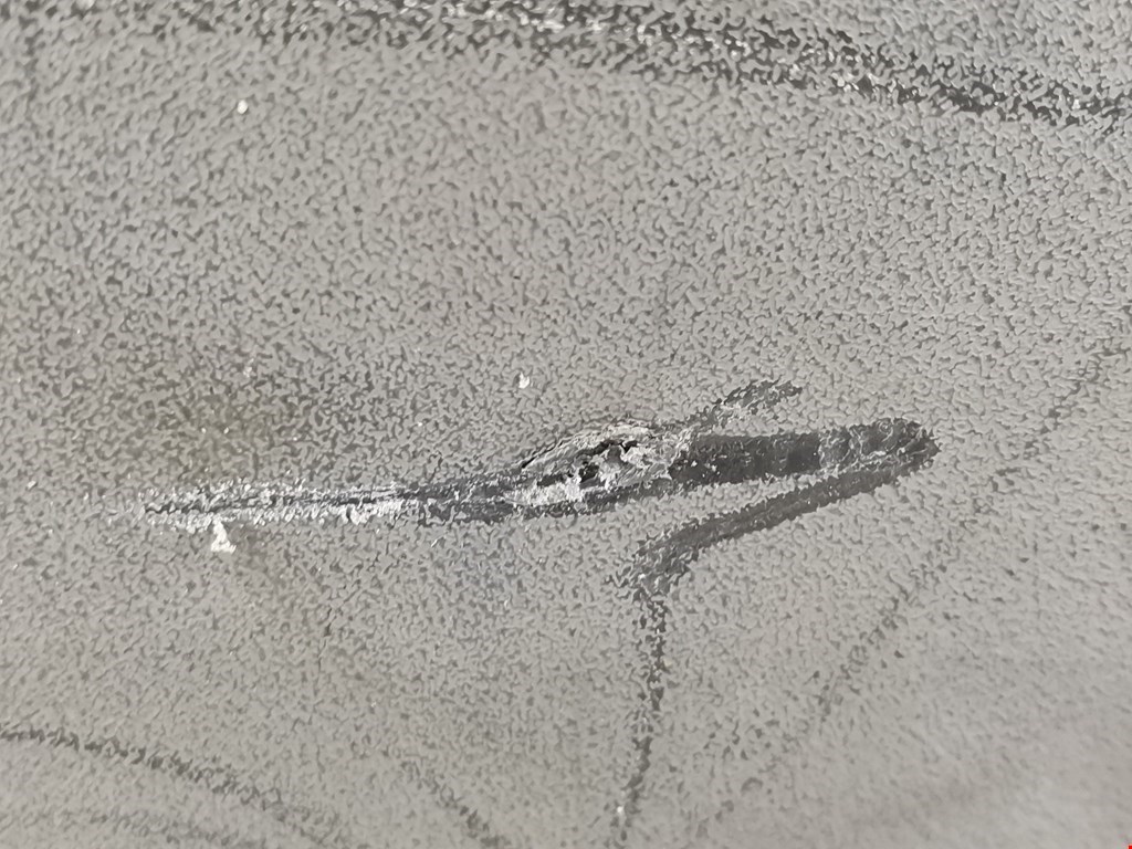 Дверь передняя правая IVECO Daily III 1999-2006