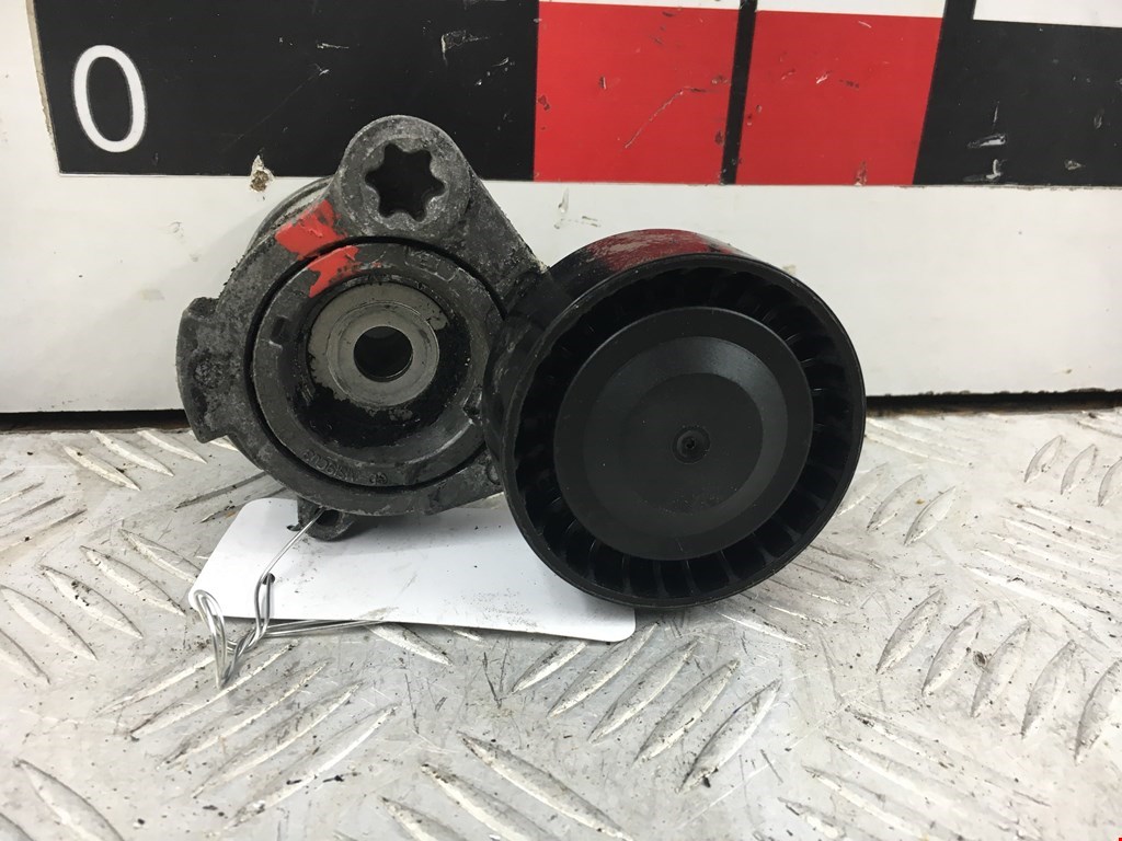 Натяжитель ремня генератора (приводного поликлинового ремня Chevrolet Epica 1 (V250) (2006-2012)