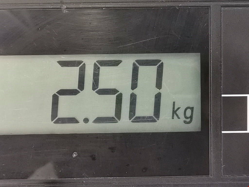 Стеклоподъемник задний левый FORD Focus II 2005-2011