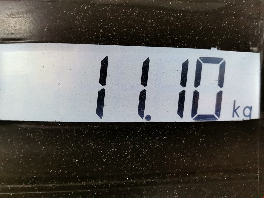 Маховик (демпфер сцепления) RENAULT Scenic II 2003-2010