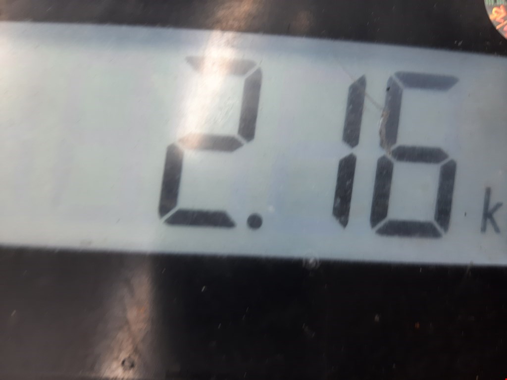 Амортизатор задний левый RENAULT Scenic I 1996-2003