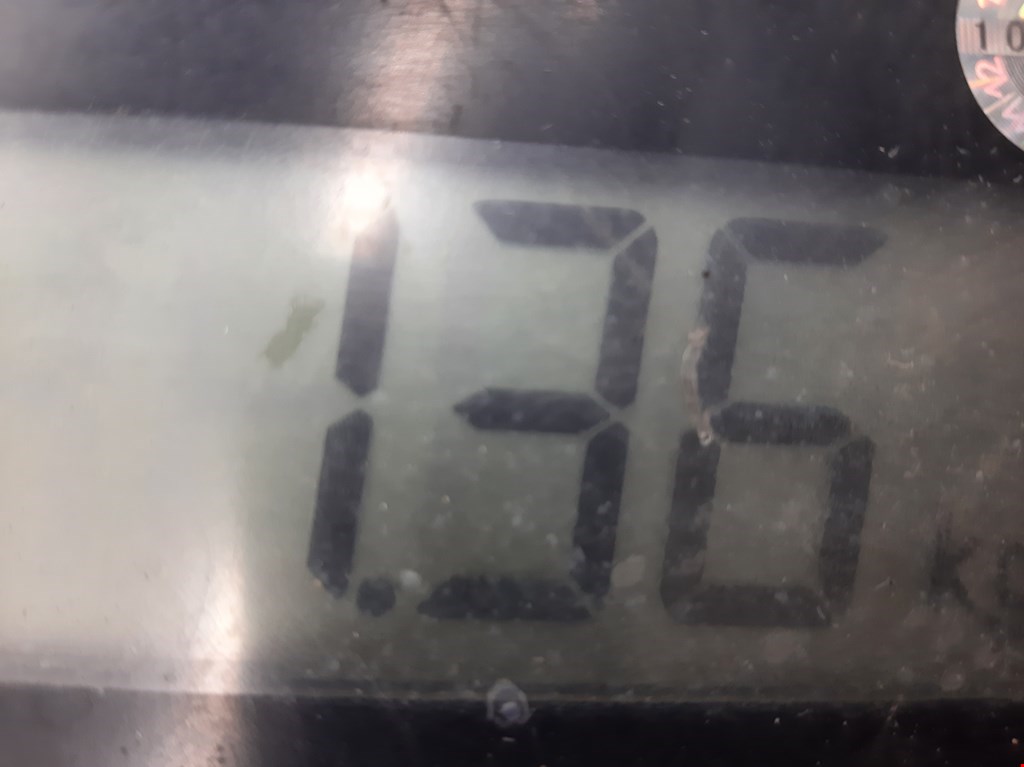 Амортизатор задний левый CHRYSLER PT Cruser 2000-2010