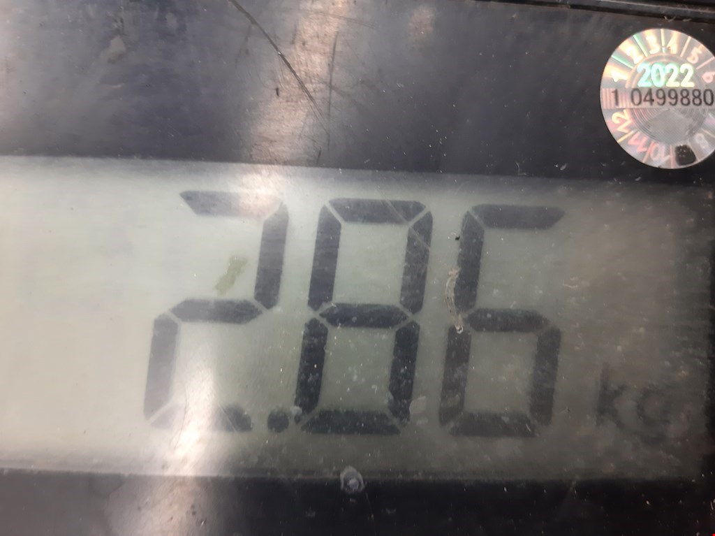 Амортизатор задний левый BMW 5er 5 серия E39 1995-2004