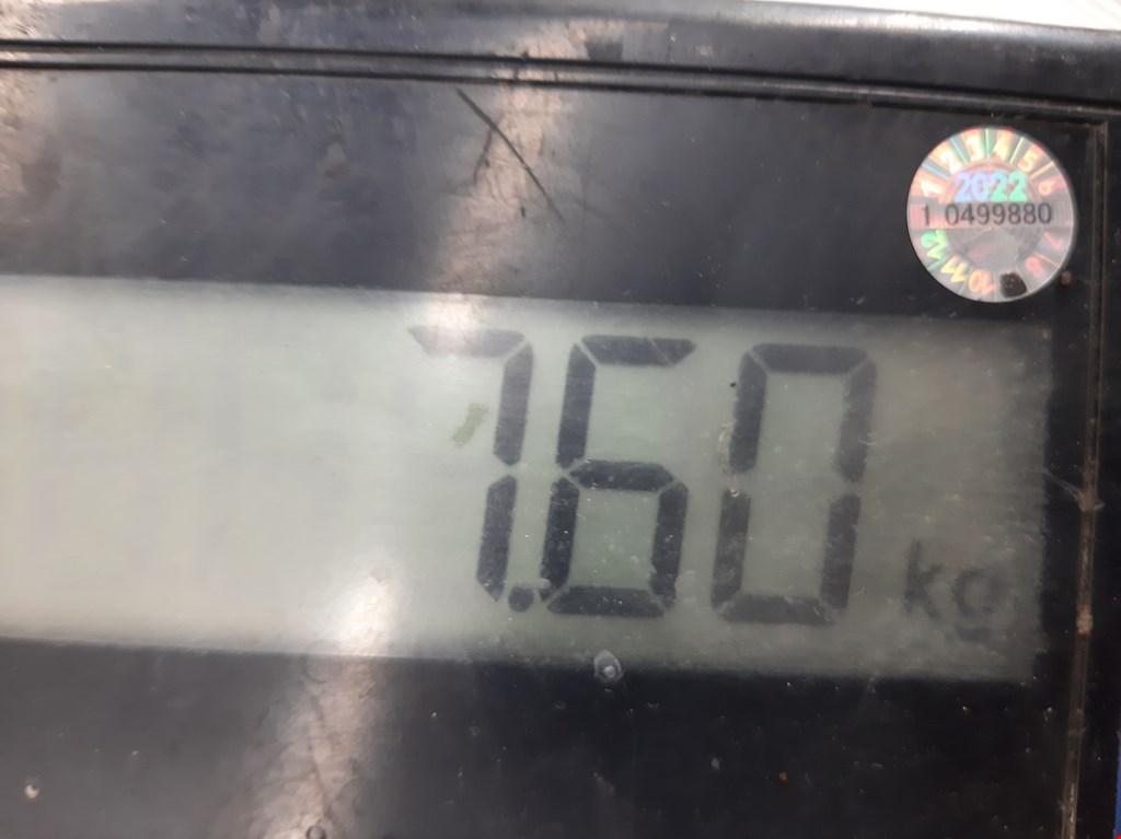 Амортизатор передний правый RENAULT Scenic I 1996-2003