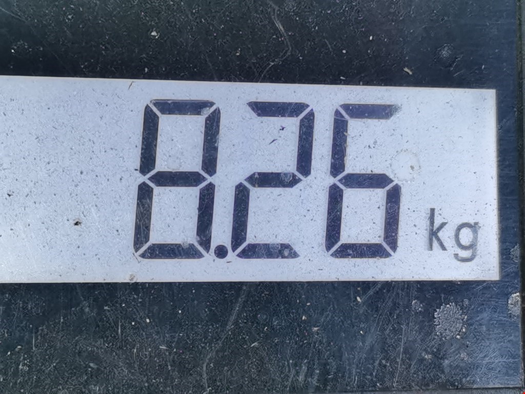 Стабилизатор задний (поперечной устойчивости подвески) MAN L 2000 / LE 1994-2005