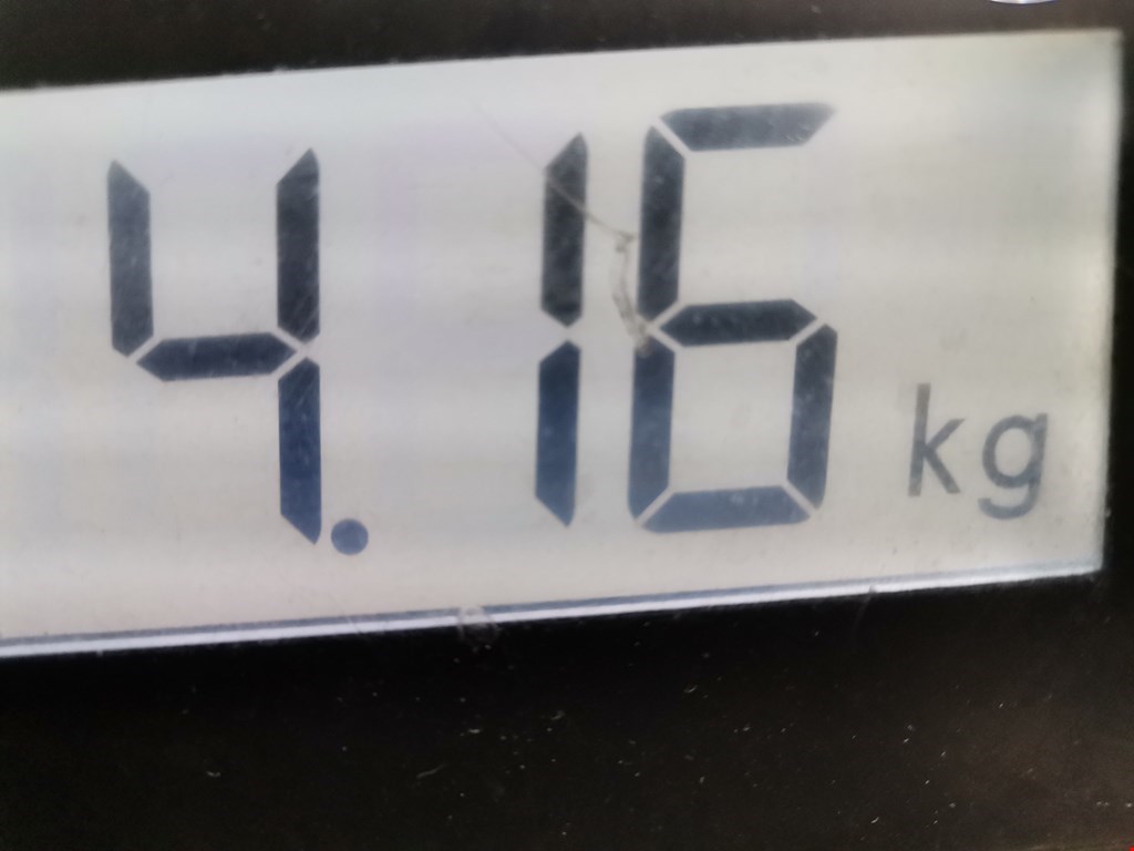 Ступица задняя правая OPEL Zafira A 1999-2005