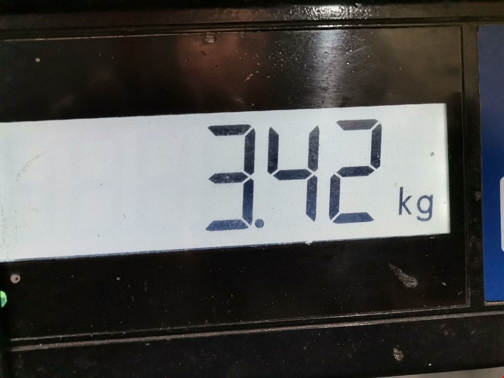 Коллектор выпускной FORD Focus I 1998-2005