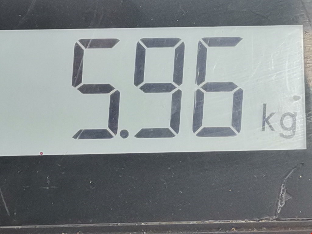 Амортизатор передний правый AUDI A3 8L 1996-2003