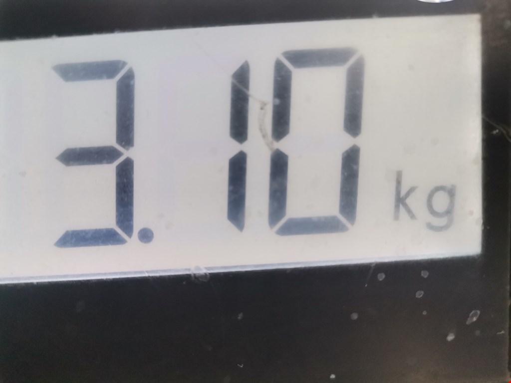 Суппорт задний левый PEUGEOT 807 2002-2014