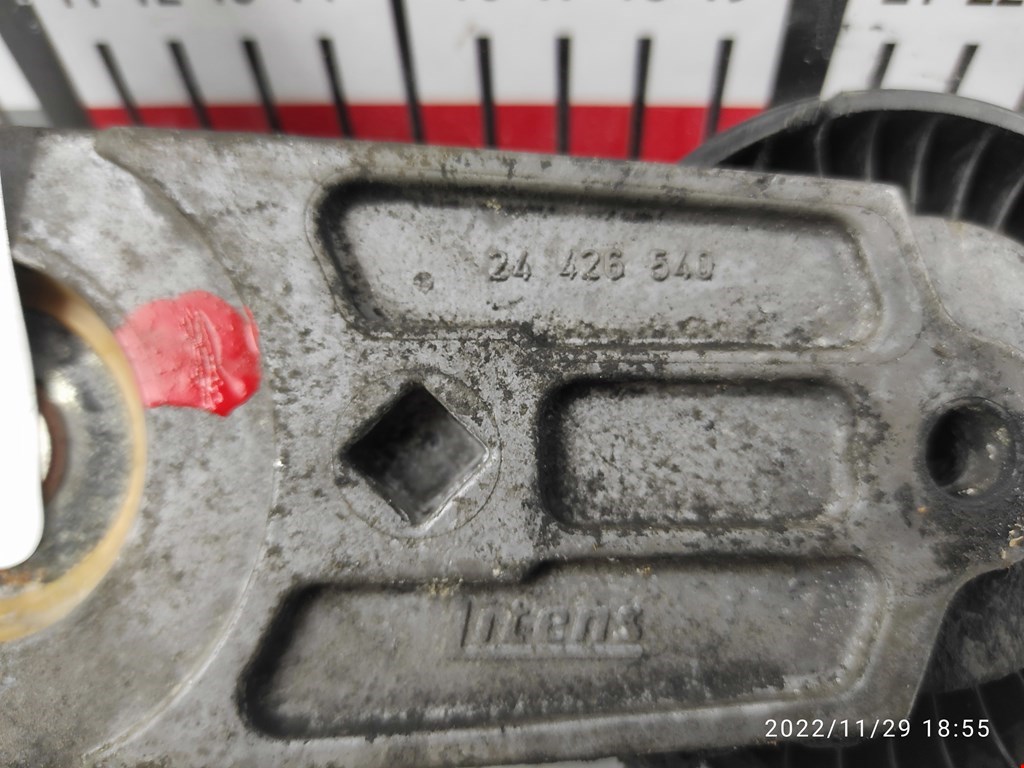 thumb