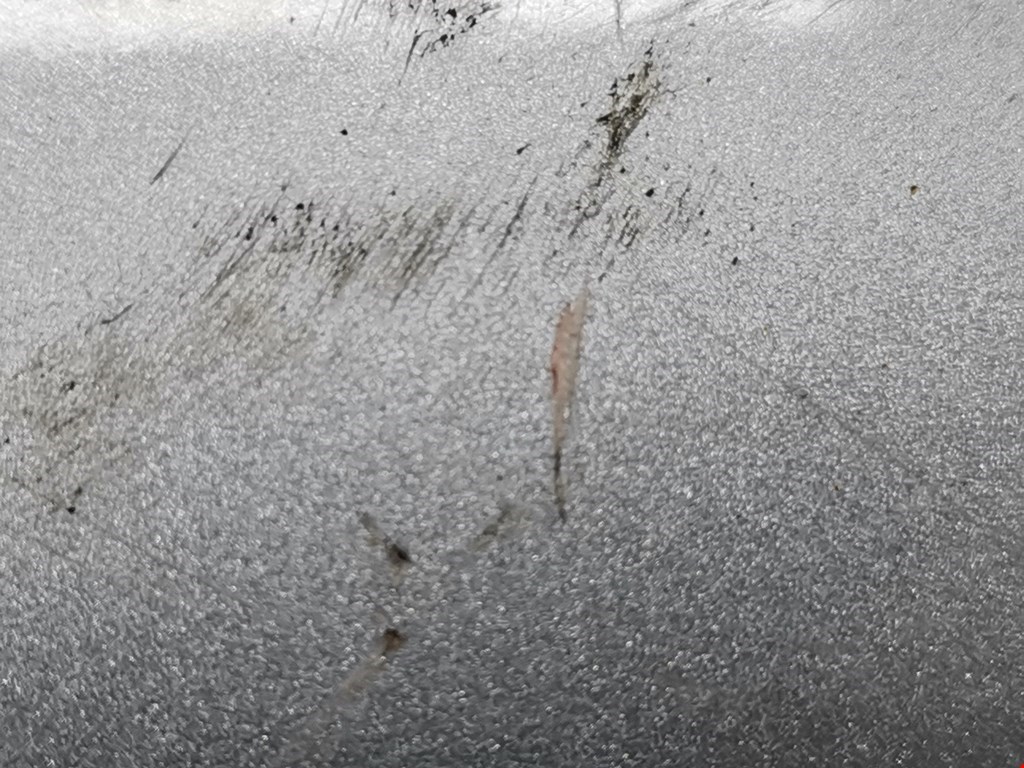 Зеркало правое SKODA Octavia A5 1Z- 2004-2013