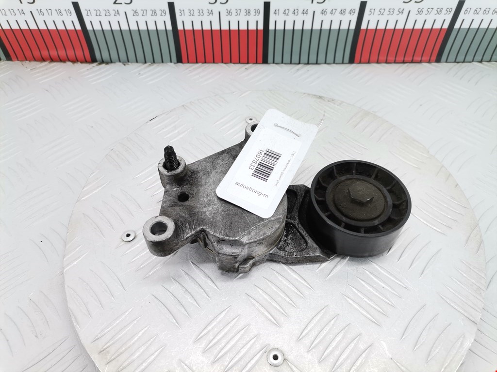 Натяжитель ремня генератора (приводного поликлинового ремня Peugeot 307 (2001-2008)