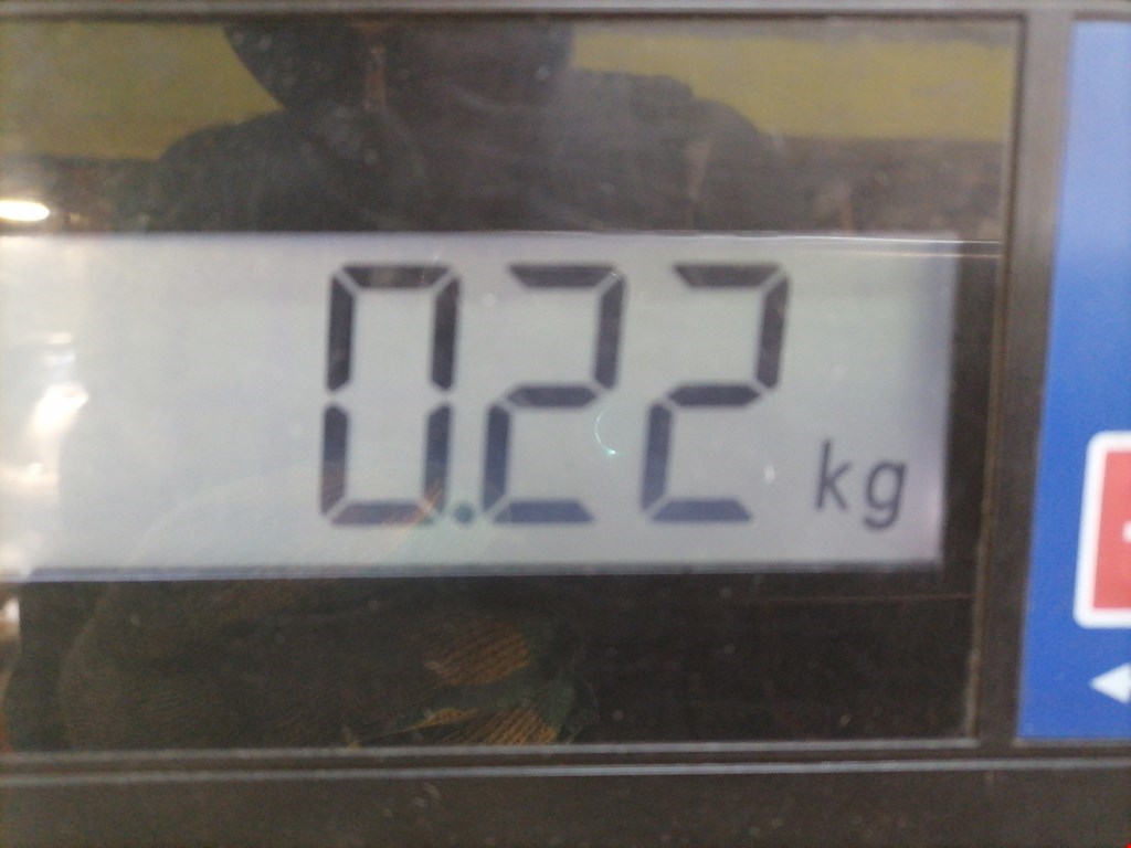 Патрубок FORD Focus II 2005-2011