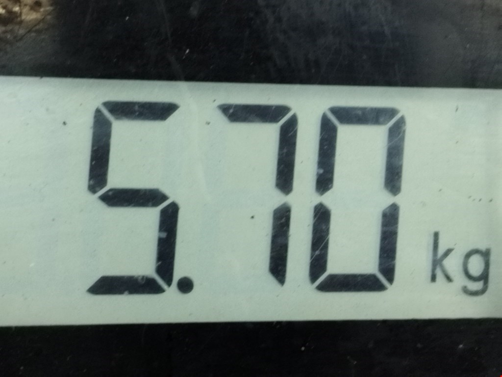 Усилитель заднего бампера (задний) VOLKSWAGEN Golf V 2003-2009