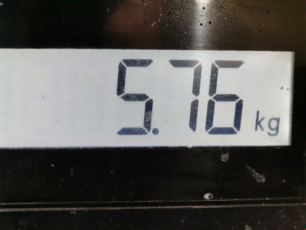 Диск тормозной задний FORD Focus I 1998-2005