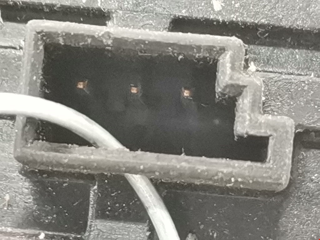 Кнопка освещения панели приборов BMW 5er 5 серия E39 1995-2004