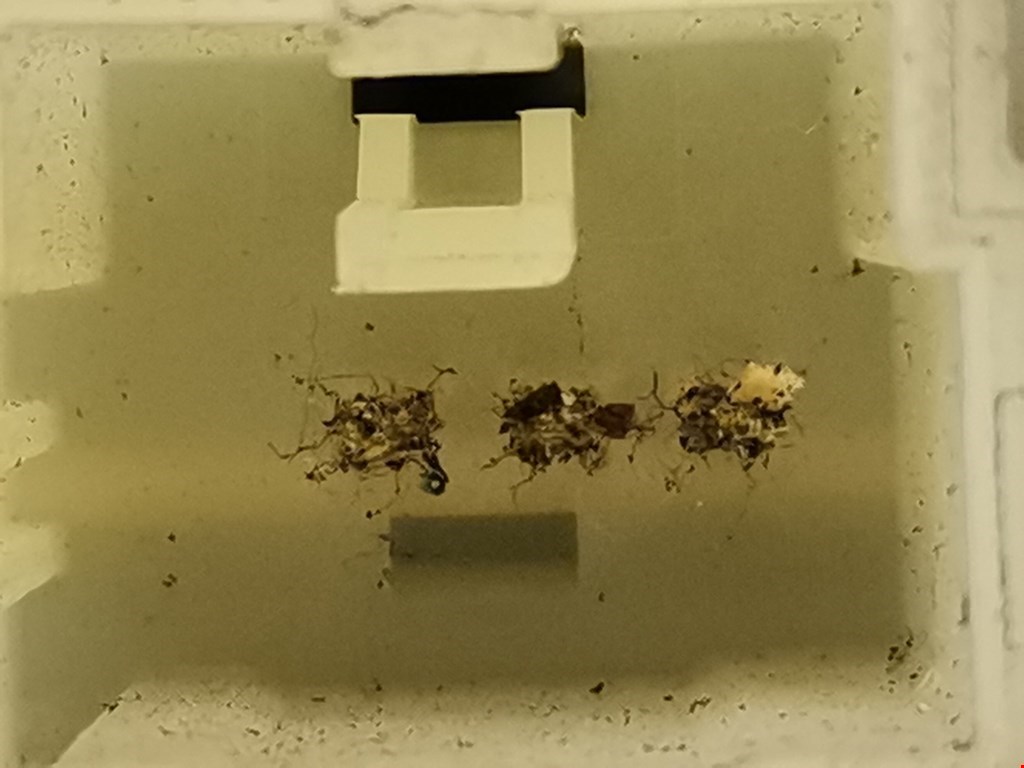 Кнопка антипробуксовочной системы CHRYSLER PT Cruser 2000-2010