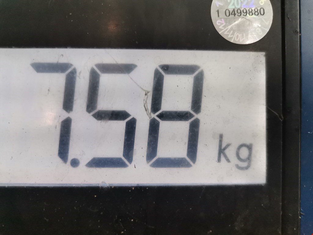 Диск тормозной задний FORD Focus II 2005-2011