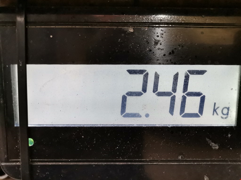 Шестерня коленвала (шкив) FORD C-MAX 2003-2010