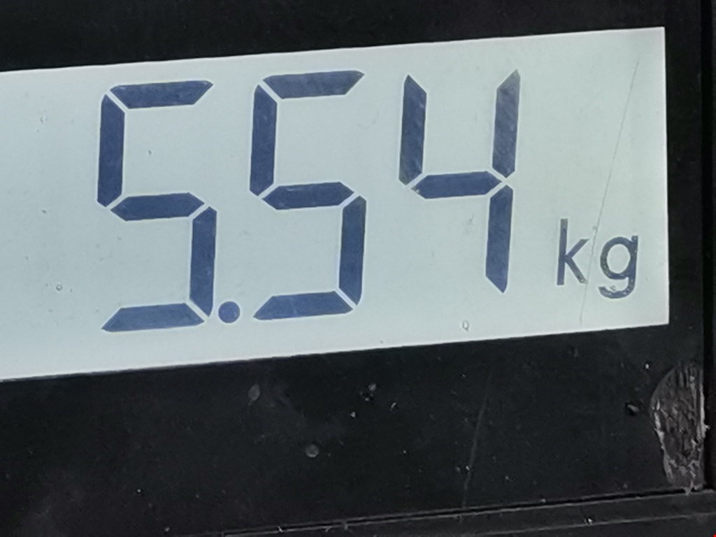 Ступица передняя левая RENAULT Modus 2004-2012