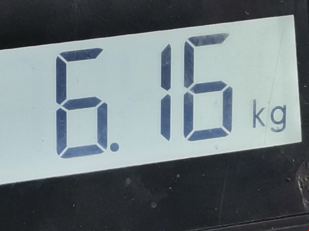 Амортизатор передний левый VOLKSWAGEN Passat B5 1997-2005