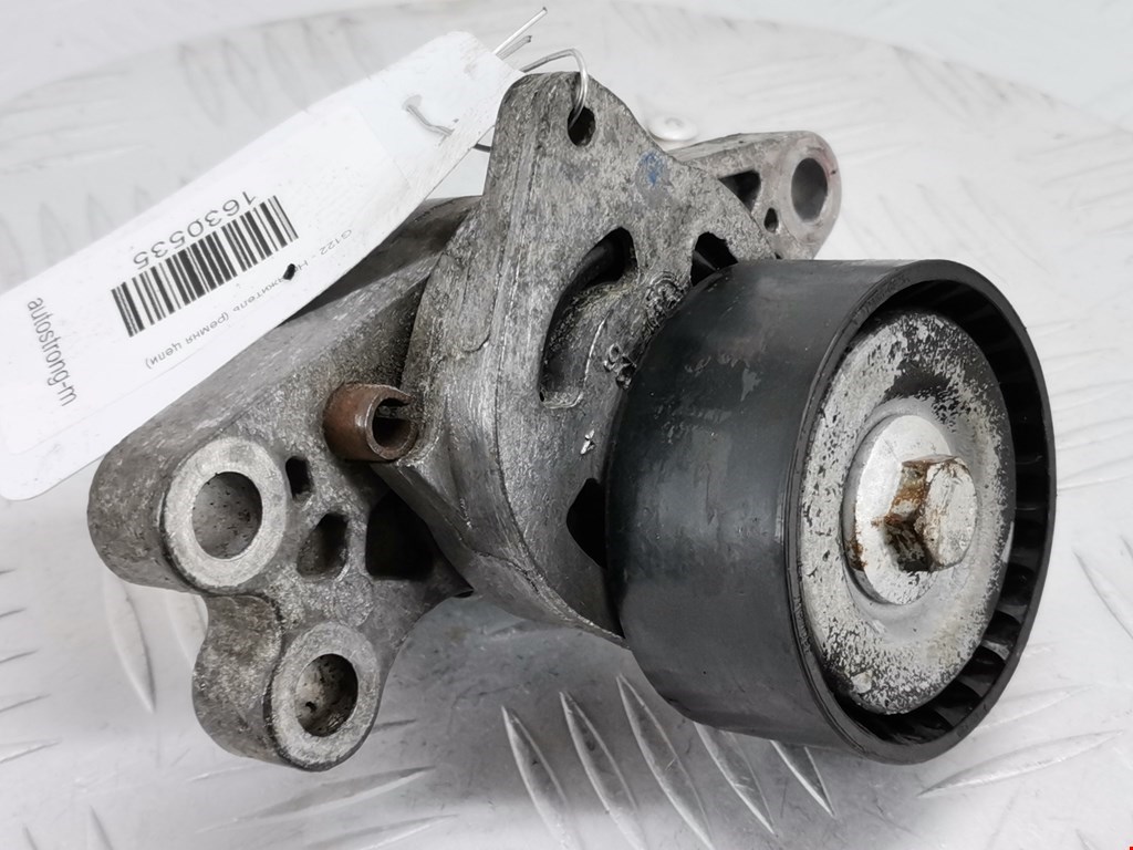 Натяжитель ремня генератора (приводного поликлинового ремня Peugeot 206 (1998-2006)