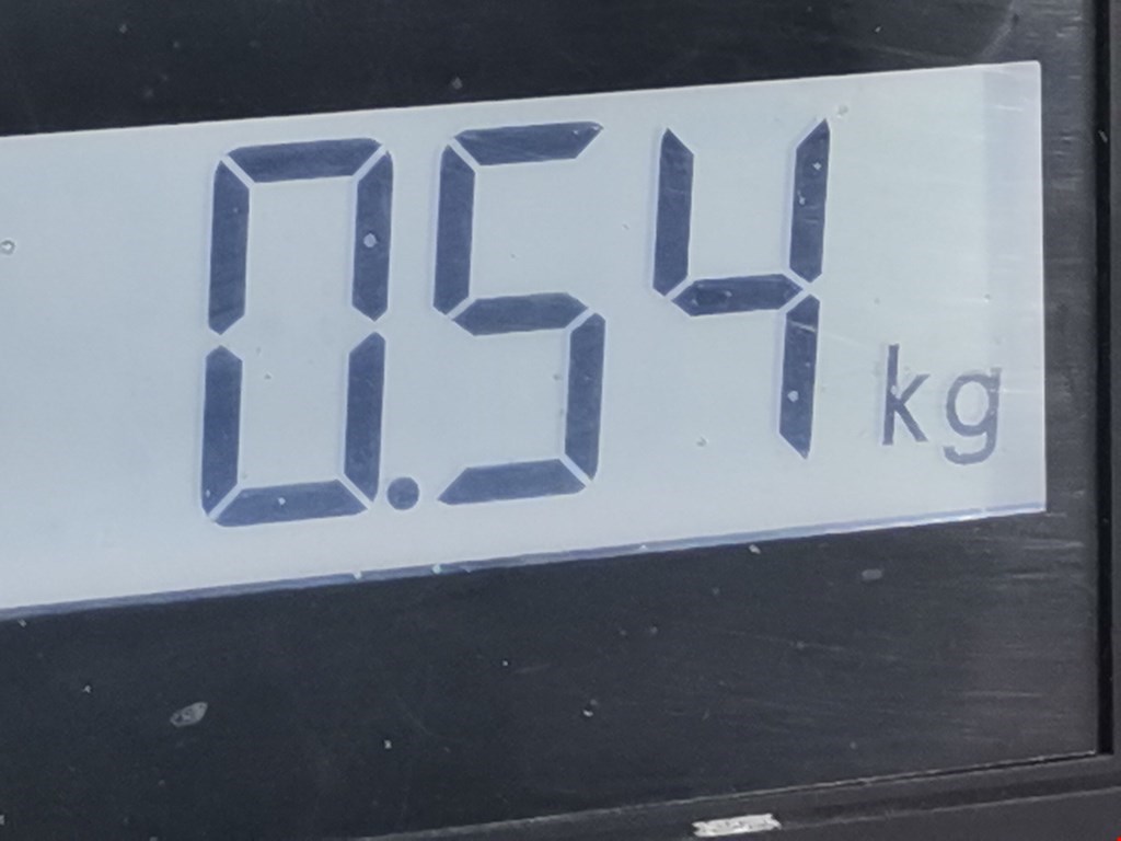 Амортизатор крышки (двери) багажника BMW X1 E84 2009-2015