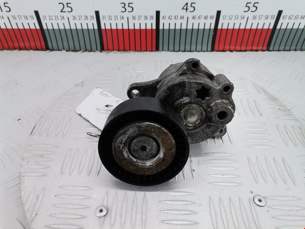 Натяжитель ремня генератора (приводного поликлинового ремня Mercedes C-Class (W203) (2000-2008)