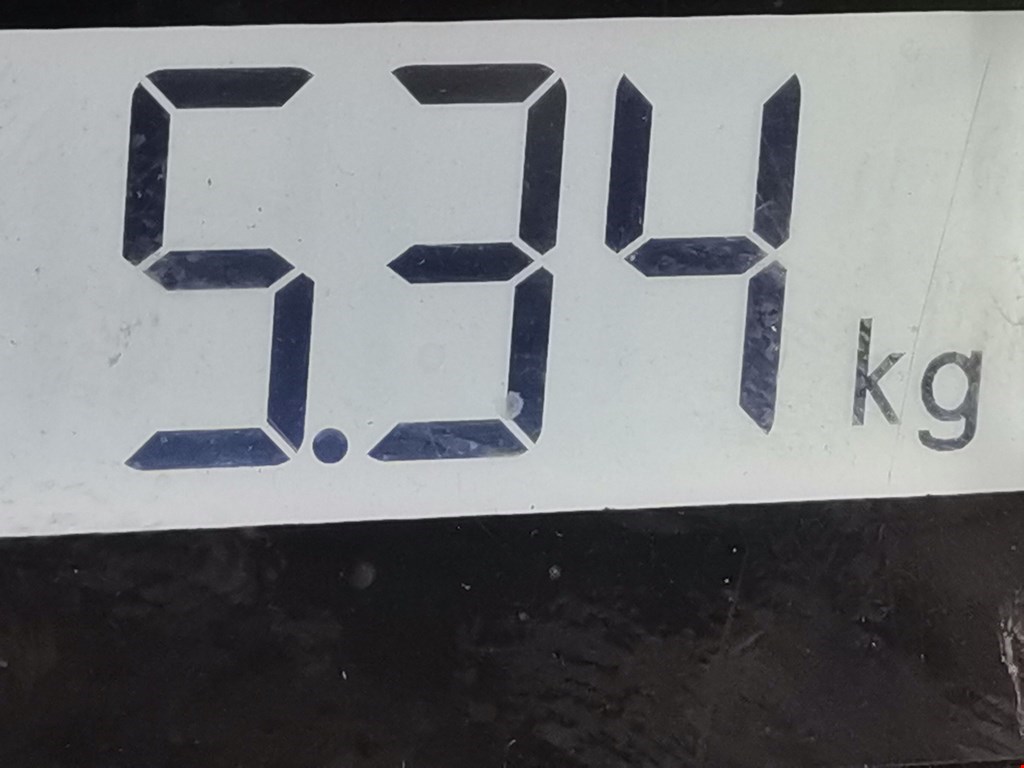 Ступица передняя правая RENAULT Modus 2004-2012