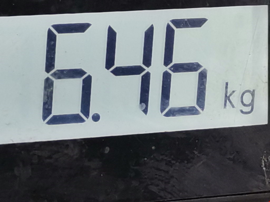 Амортизатор передний левый VOLKSWAGEN Bora 1998-2005