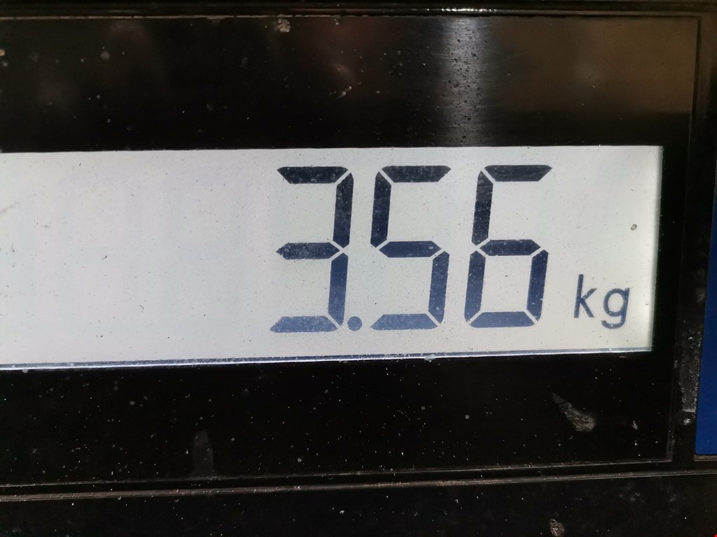 Шестерня коленвала (шкив) BMW 5er 5 серия E39 1995-2004