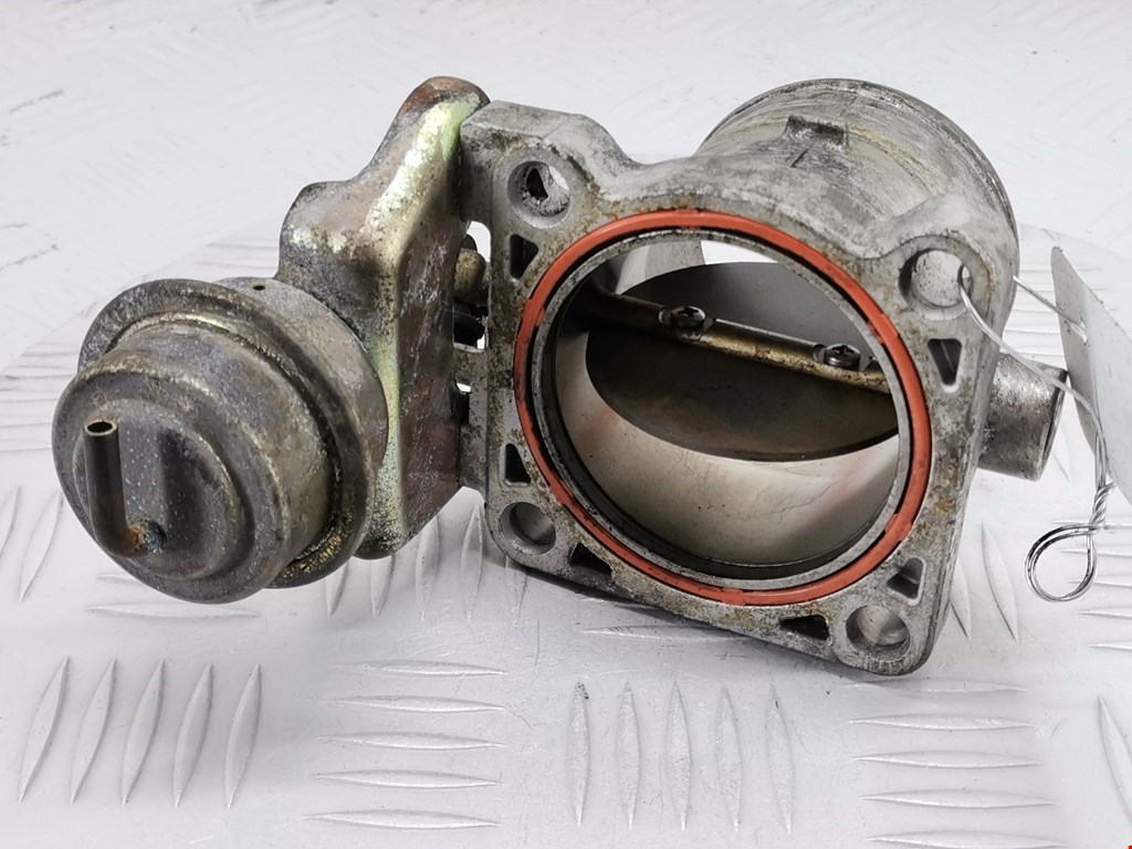 Защита антигравийная RENAULT Vel Satis 2002-2009