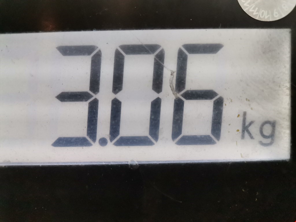 Суппорт передний левый AUDI A3 8P 2003-2013