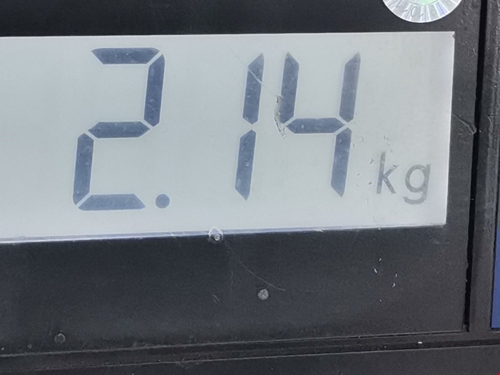 Рычаг задний правый BMW X1 E84 2009-2015