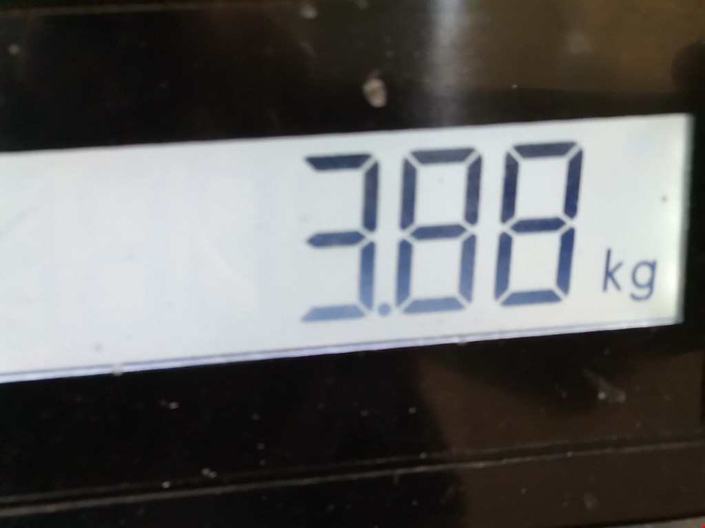 Стабилизатор передний (поперечной устойчивости подвески) CITROEN Xsara 1997-2000