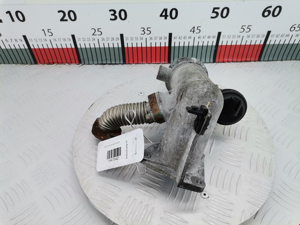 Защита антигравийная FIAT Multipla 1998-2010