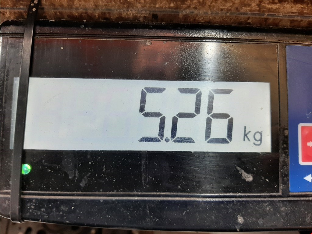 Корзина сцепления RENAULT Laguna 2001-2007